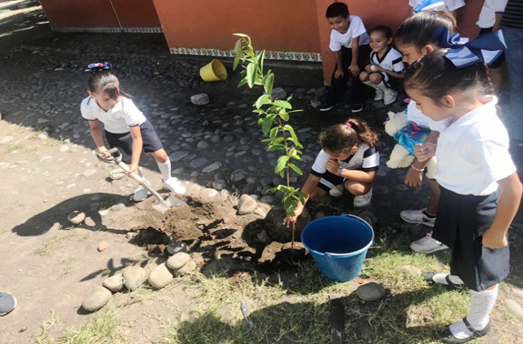 Foto de la siguiente Nota de Prensa